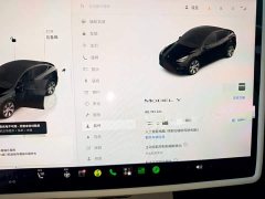 Tesla Model Y Rear-Wheel Drive - ფოტო 12
