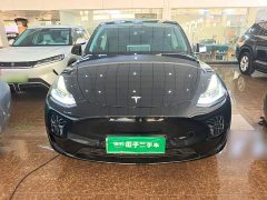 Tesla Model Y Rear-Wheel Drive - ფოტო 3