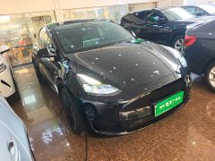 Tesla Model Y Rear-Wheel Drive - ფოტო 4