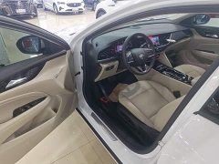 Buick Regal 2020 552T Elite - ფოტო 16