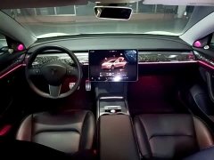 Tesla Model 3 2022 Performance All-Wheel Drive - ფოტო 10