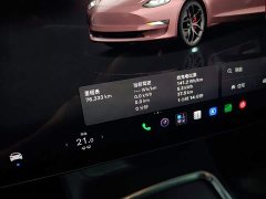 Tesla Model 3 2022 Performance All-Wheel Drive - ფოტო 12