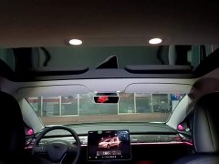 Tesla Model 3 2022 Performance All-Wheel Drive - ფოტო 18