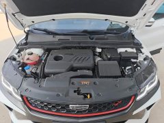Geely Bingyue 1.4T Manual Golden Edition - ფოტო 20