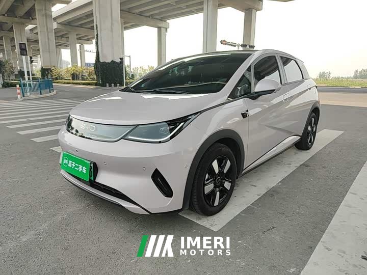 BYD Dolphin 2025 Smart Drive 410km Fashion Edition - ავტომობილი ჩინეთიდან