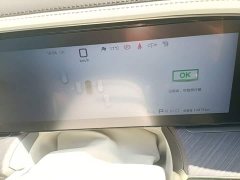 Denza BYD Denza Z9 2024 1100km Range Four-Wheel Drive Ultra - ფოტო 12
