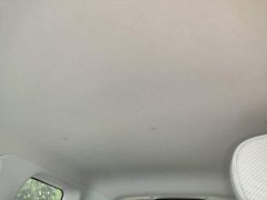 Changan Lumin 205km Xiangqin Edition - ფოტო 18