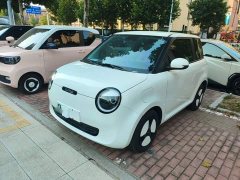 Changan Lumin 205km Xiangqin Edition - ფოტო 2