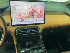Geely Boyue L 2025 Fourth Generation 1.5TD DCT Shanhe - ფოტო 8