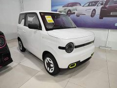 Geely Panda Mini 210km Vitality Edition - ფოტო 4