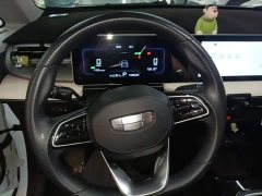 Geely Geometry E Firefly 301km Starlight - ფოტო 11
