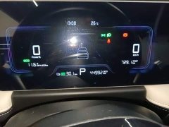 Geely Geometry E Firefly 301km Starlight - ფოტო 12