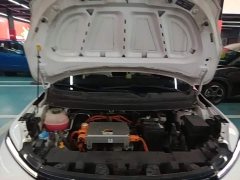 Geely Geometry E Firefly 301km Starlight - ფოტო 20