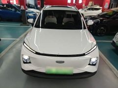 Geely Geometry E Firefly 301km Starlight - ფოტო 3