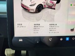 Tesla Model Y Performance All-Wheel Drive - ფოტო 12