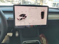 Tesla Model Y Performance All-Wheel Drive - ფოტო 13