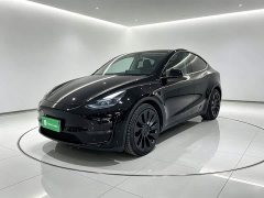 Tesla Model Y Performance All-Wheel Drive - ფოტო 2