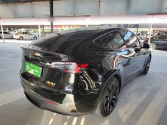 Tesla Model Y Performance All-Wheel Drive - ფოტო 7