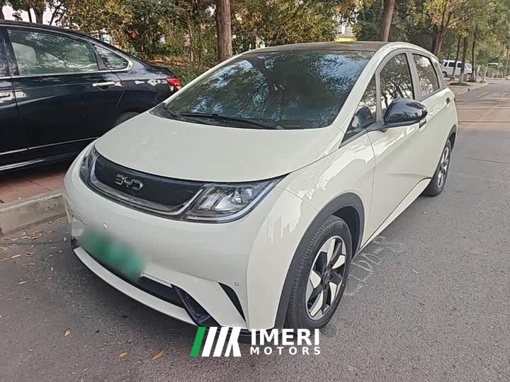 BYD Dolphin 2025 420km Fashion Edition - ავტომობილი ჩინეთიდან