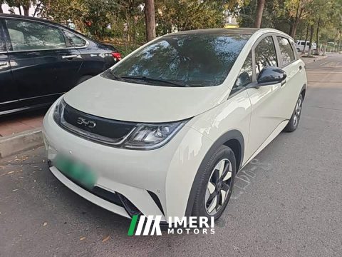 2024 BYD Dolphin 2025 420km Fashion Edition - ავტომობილი ჩინეთიდან