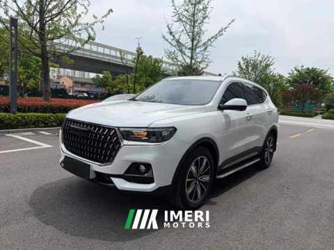 2024 Haval H6 2023 National Trend Edition 1.5T Automatic Champion Version - ავტომობილი ჩინეთიდან