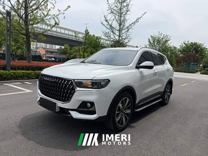 Haval H6 National Trend Edition 1.5T Automatic Champion Version