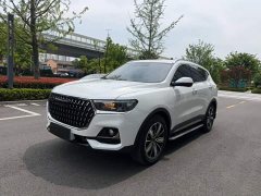 Haval H6 2023 National Trend Edition 1.5T Automatic Champion Version - ფოტო 2