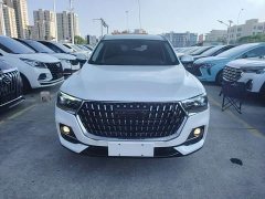 Haval H6 2023 National Trend Edition 1.5T Automatic Champion Version - ფოტო 3