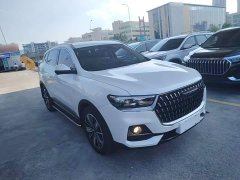 Haval H6 2023 National Trend Edition 1.5T Automatic Champion Version - ფოტო 4