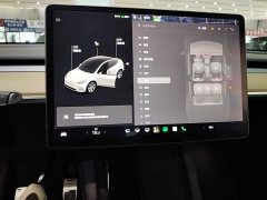 Tesla Model Y Long Range All-Wheel Drive 3D7 - ფოტო 13