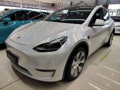 Tesla Model Y Long Range All-Wheel Drive 3D7 - ფოტო 2