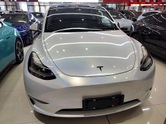 Tesla Model Y Long Range All-Wheel Drive 3D7 - ფოტო 3