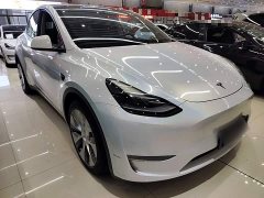 Tesla Model Y Long Range All-Wheel Drive 3D7 - ფოტო 4