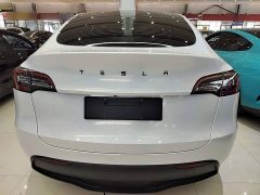 Tesla Model Y Long Range All-Wheel Drive 3D7 - ფოტო 6