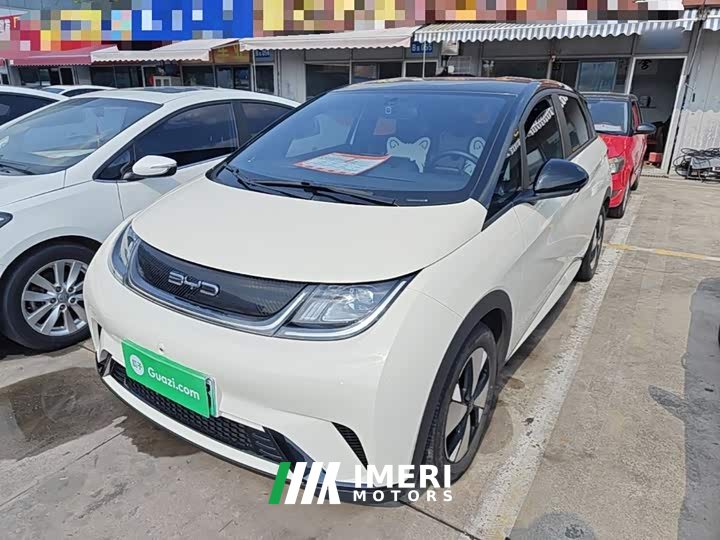 BYD Dolphin 420km Freedom Edition - ავტომობილი ჩინეთიდან