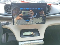 BYD Dolphin 420km Freedom Edition - ფოტო 13