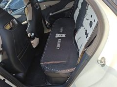 BYD Dolphin 420km Freedom Edition - ფოტო 17