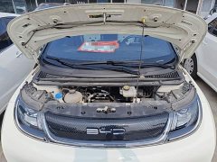 BYD Dolphin 420km Freedom Edition - ფოტო 20