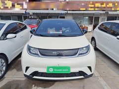BYD Dolphin 420km Freedom Edition - ფოტო 3