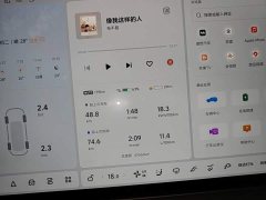 Li Auto L9 2022 Max - ფოტო 12