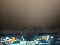 Geely Galaxy E8 550km Rear-Wheel Drive MAX - ფოტო 18