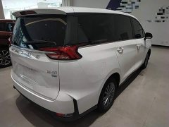 SAIC Maxus EUNIQ 5 2020 1.3T Plug-in Hybrid Elite - ფოტო 7
