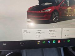 Tesla Model 3 2023 Rear-Wheel Drive - ფოტო 12