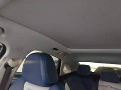 Geely Xingrui 2.0T Diesel Premium - ფოტო 18