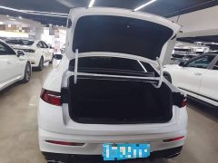 Geely Xingrui 2.0T Diesel Premium - ფოტო 19