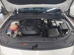 Geely Xingrui 2.0T Diesel Premium - ფოტო 20