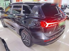 AITO Landian E5 1.5L DE-i 100KM Version 5 - ფოტო 5