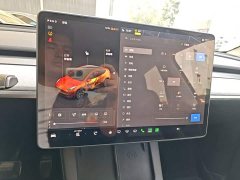 Tesla Model Y Rear-Wheel Drive - ფოტო 13