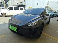 Tesla Model Y Rear-Wheel Drive - ფოტო 2
