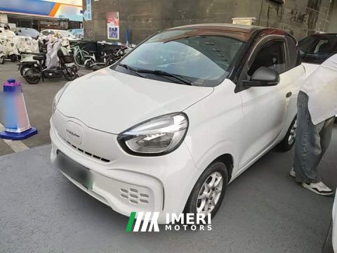 2022 SAIC Clever 311km Vitality Pop Edition - ავტომობილი ჩინეთიდან